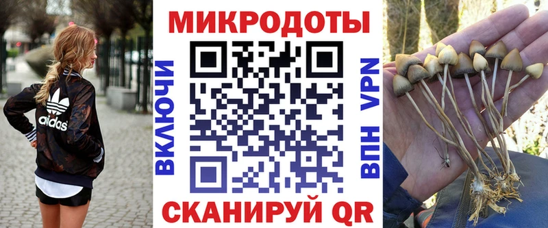 Псилоцибиновые грибы Cubensis Грайворон